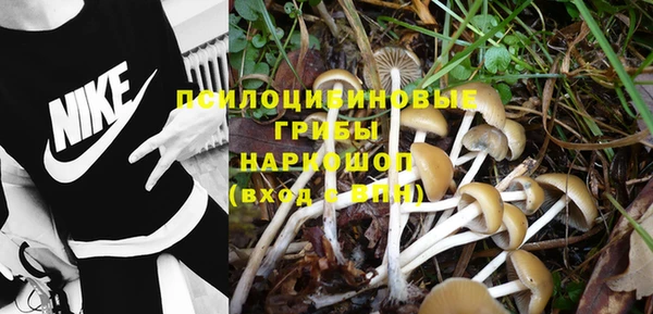 каннабис Дмитриев