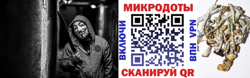 Купить где  Мантурово  Псилоцибиновые грибы Cubensis 